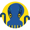 JetOctopus logo
