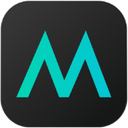 MASV logo