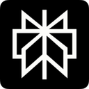 Perplexity logo