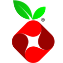 Pi-hole logo